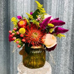 Meet your Posher, Bailey